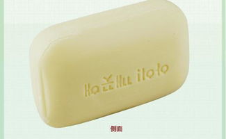 出口韓國日用品市場(chǎng)概況 報(bào)價(jià)趨勢(shì)與優(yōu)質(zhì)廠家推薦